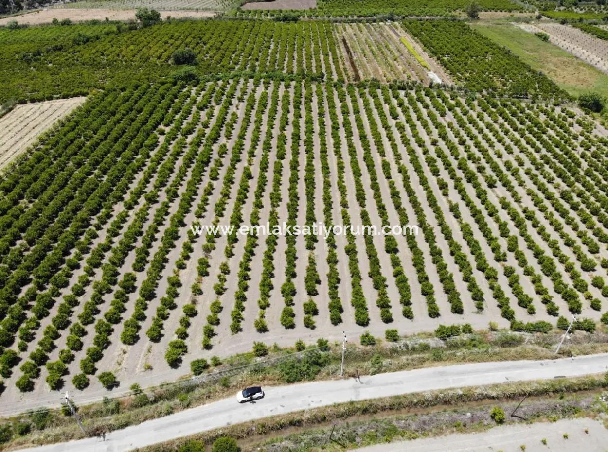 Ortaca Mergenlide 13 500 M2 Tarla Satılık