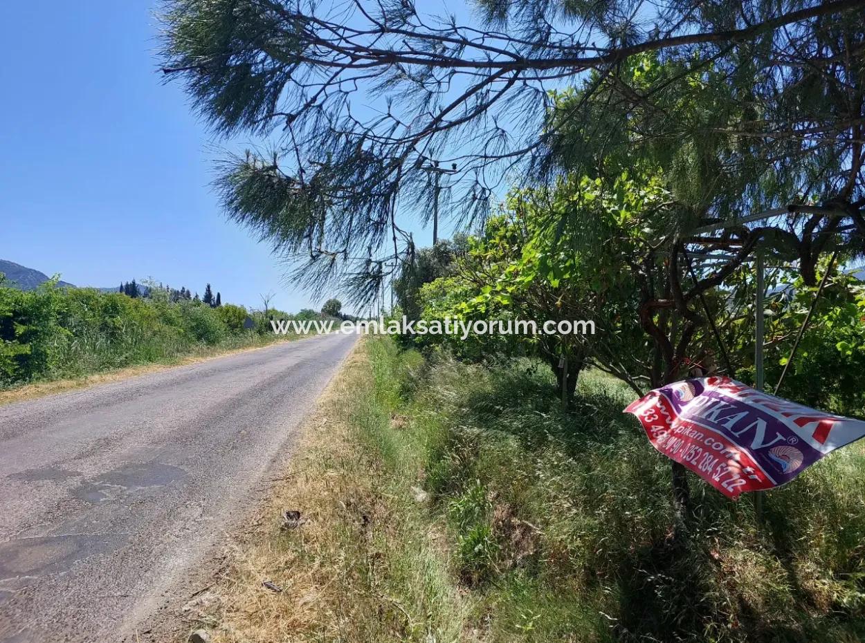 Muğla Ortaca Eskiköyde 9.000  M2 Nar Bahçesi Satılık