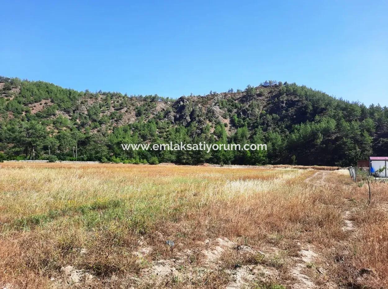 Dalaman Karacaağaçda 454 M2 Müstakil Tapulu Arazi Satılık