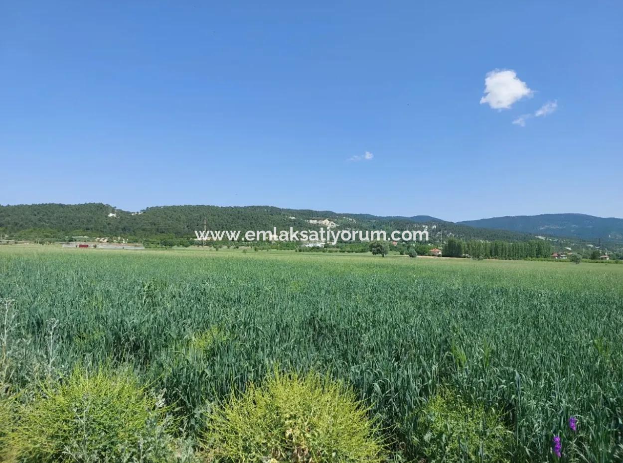 Denizli Çameli Kızılyakada Satılık1500 M2 Müstakil Tapulu Kelepir Arazi