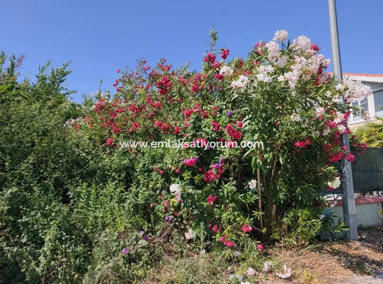 Dalyan Merkezde 500 M2 Müstakil Kelepir Arsa Satılık