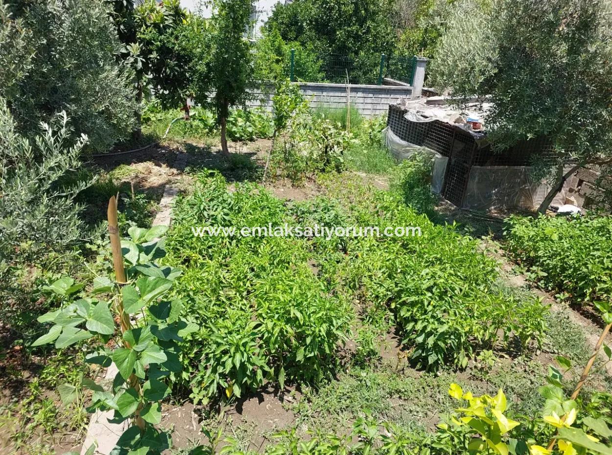 Dalaman Altıntaş’ta Bahçeli 2 Adet 2+1 Daire Ve Müstakil Arsa Satılık!