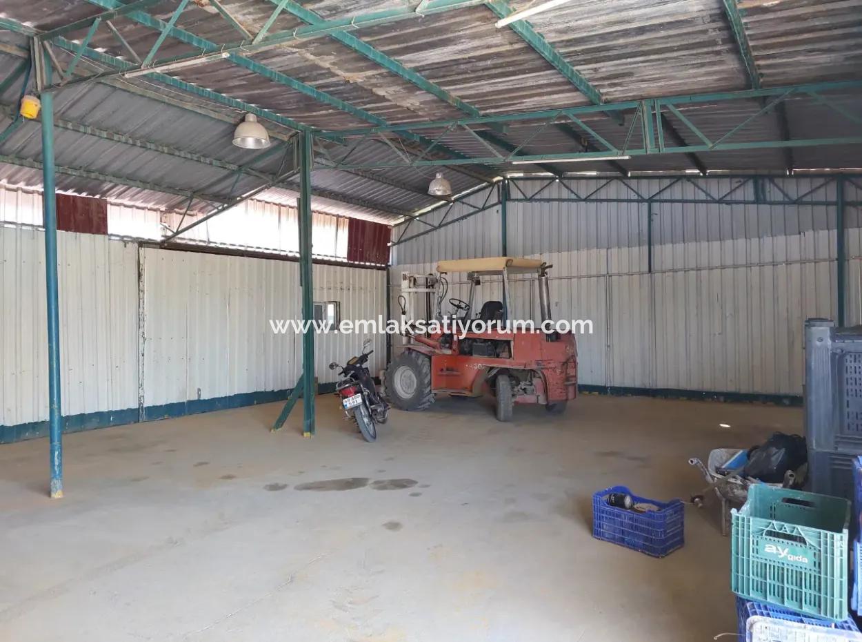 Muğla Dalyan’da 250 M² Tam Kullanımlı Depo Kiralık