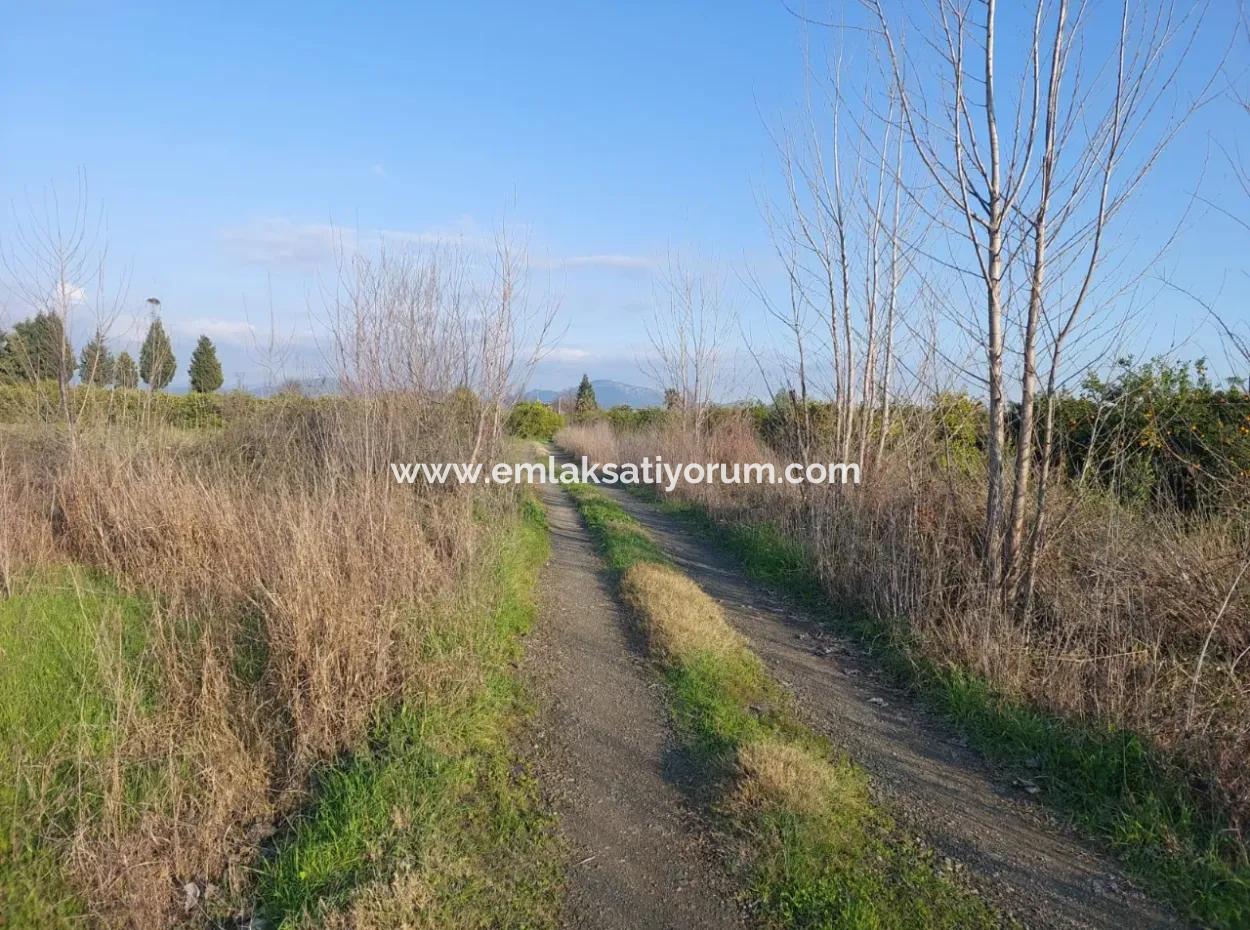Ortaca Güzelyurt’ta 14.500 M² Verimli Arazi Uzun Süreli Kiralık – Hayvancılığa Uygun