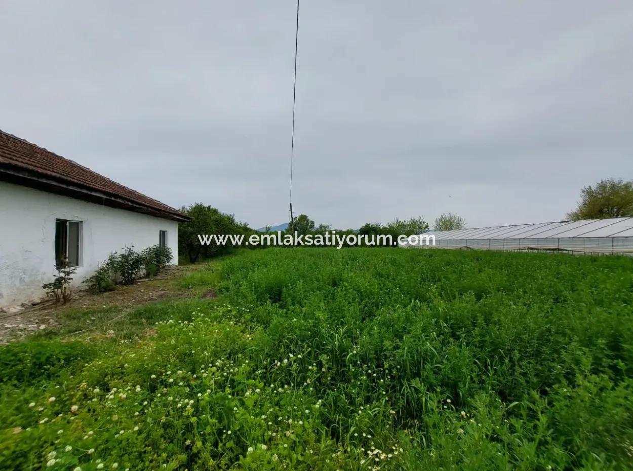 Muğla Köyceğiz Kavakarasında 6.650 M² Verimli Arazide Köy Evi Ve Çiftlik Satılık