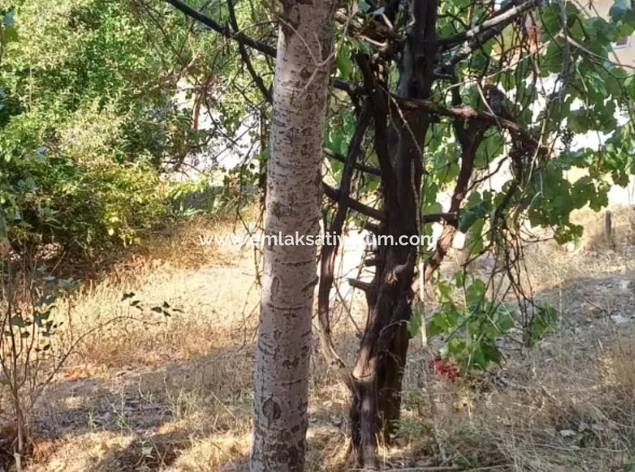 Denizli Çameli Gökçeyaka’da 750 M² Arazide 2 Katlı Taş Ev Satılık