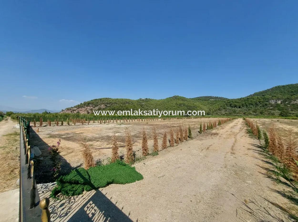 Ortaca Güzelyurt’ta Satılık Kooperatif Hisseleri – 270 M²