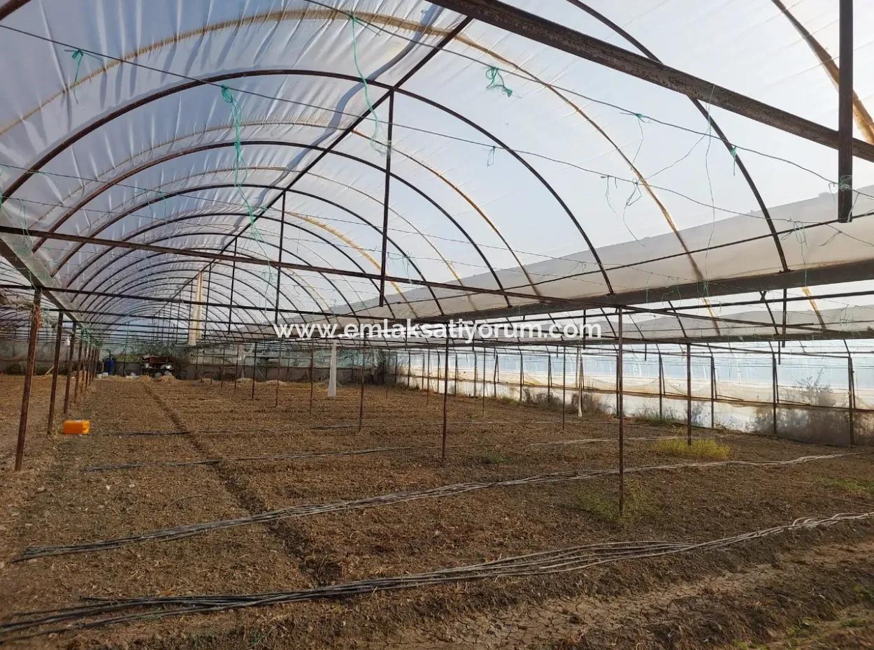 Ortaca Eskiköy’de 5.850 M² Göl Manzaralı Arazi Ve Köy Evi Satılık