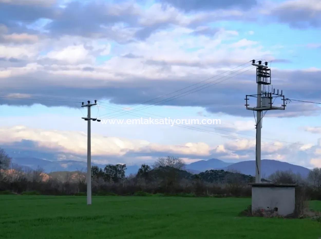 Ortaca Mergenlide Satılık Müstakil Verimli Kelepir Arazi