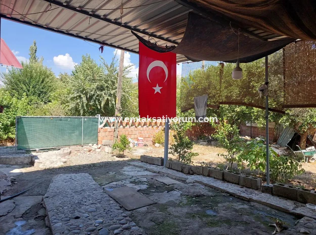 Muğla Dalaman Taşlıburun’da Doğayla İç İçe Bahçeli Yaşam Ve Yatırım Fırsatı!