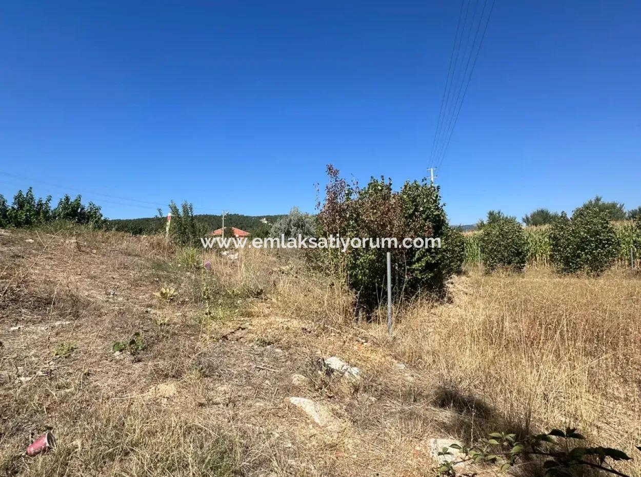 Denizli Çamelide Anayol Kenarı 3070 M2 Ceviz Bahçesi Satılık