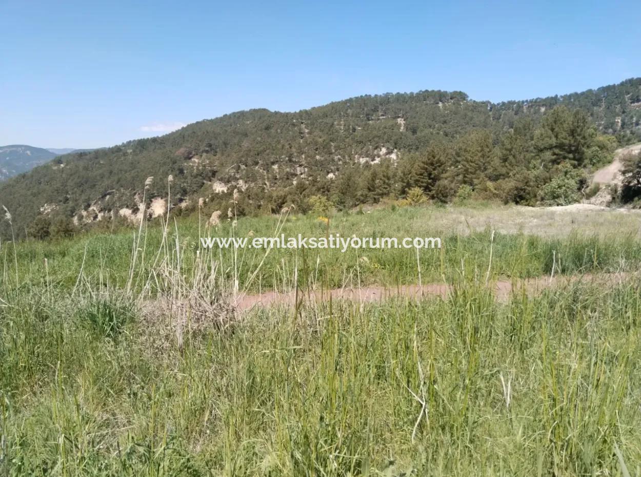 Çameli Kolakta Kelepir 20 000 M2 Müstakil Tapulu Arazi Satılık Veya Takas Olur.