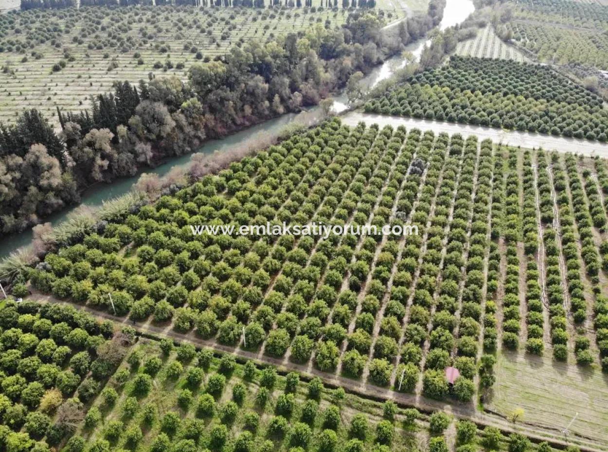 Muğla Ortaca Akıncı Da 18 Dönüm Tarla Satılık