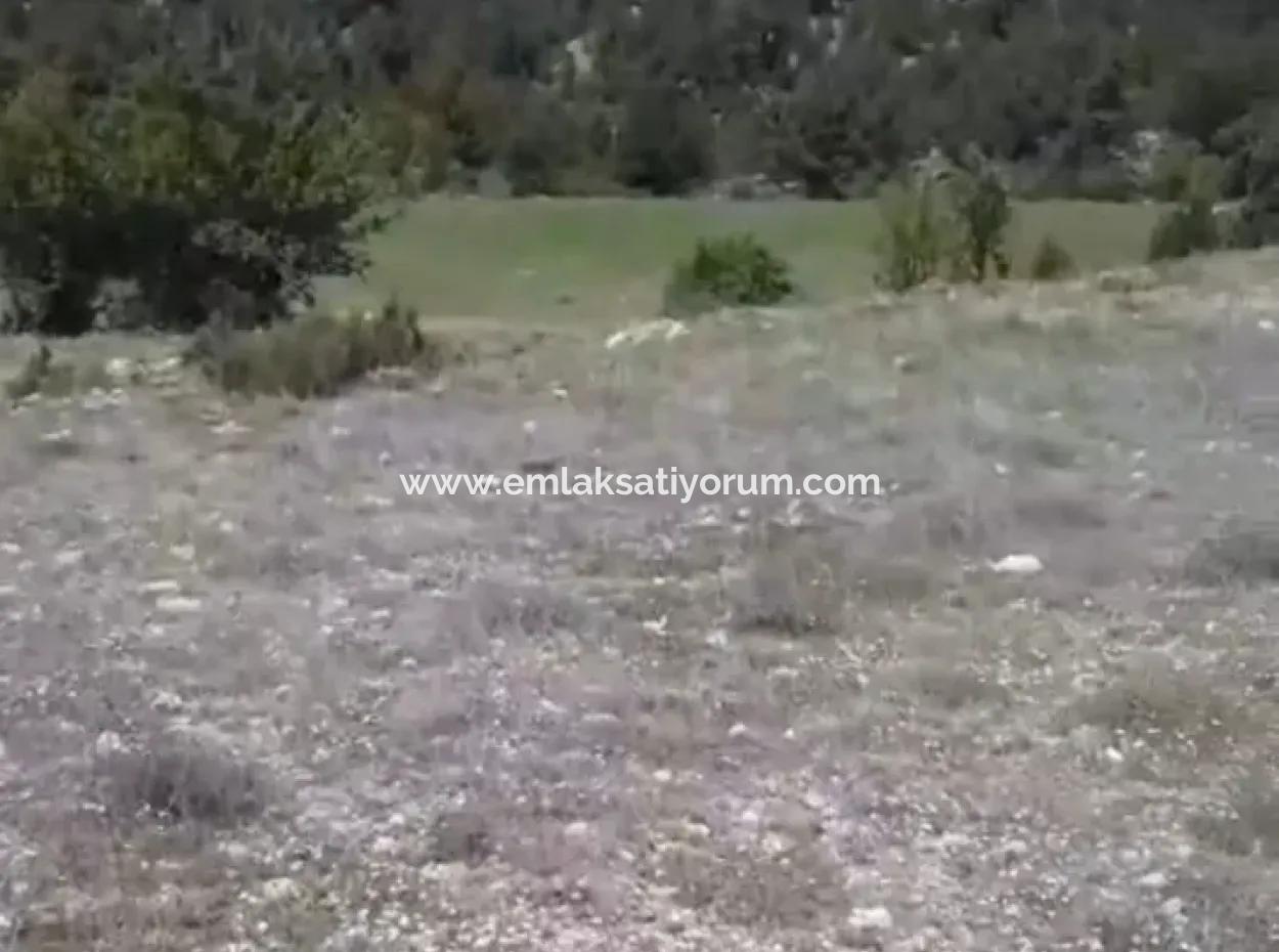 Çameli Ayvacık Ta 1770 M2 Tarla Satılık