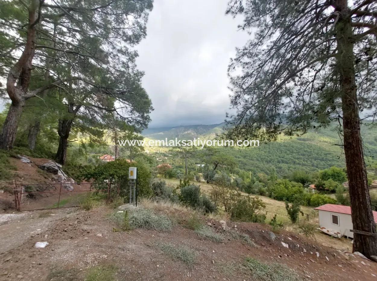 Muğla Köyceğiz Ağla - Yaylada 535 M2 Arsa Ve Tiny House Ev Satılık