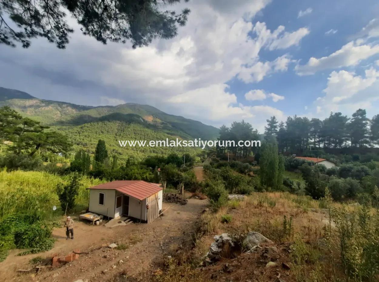 Muğla Köyceğiz Ağla - Yaylada 535 M2 Arsa Ve Tiny House Ev Satılık