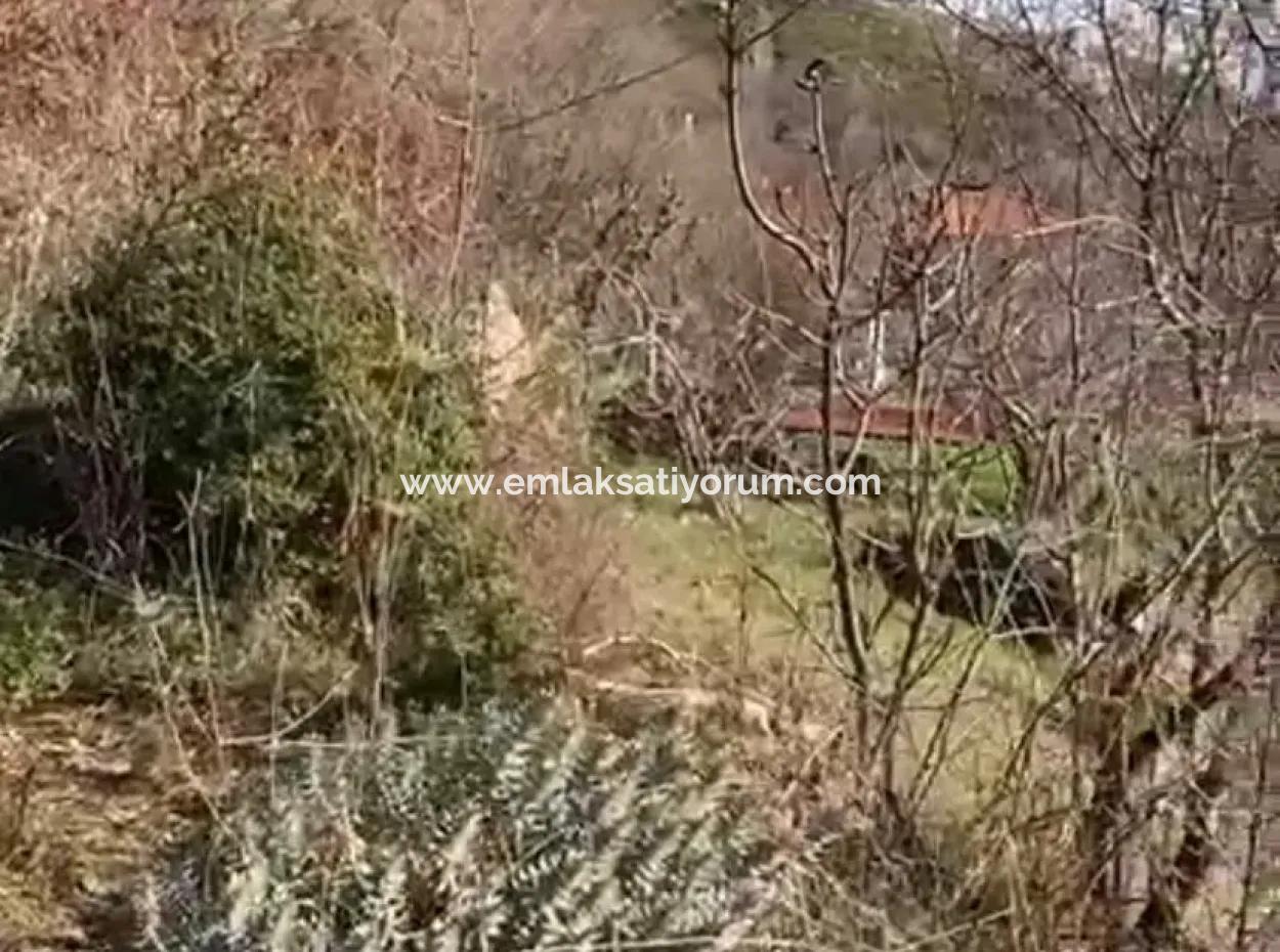 Mugla Menteşe Zeytinköy De 200 M2 Konut İmarlı  406 M2  Arsa Satılık