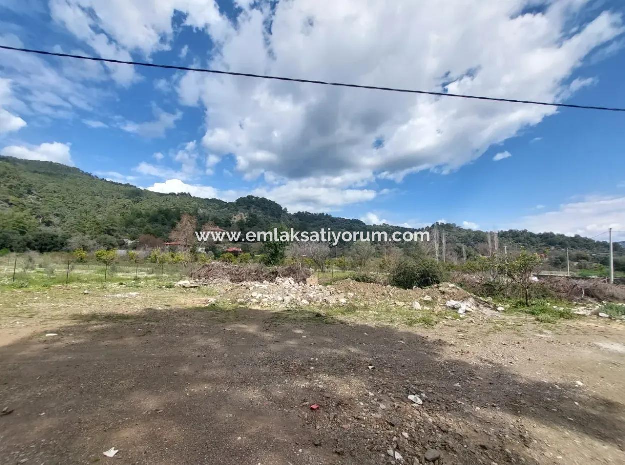 Muğla Köyceğiz Çandır Merkezde 1 000 M2 Arazi Satılık