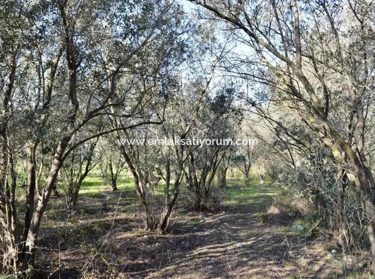 Fethiye Kadıköyde Satılık Müstakil Köy Evi