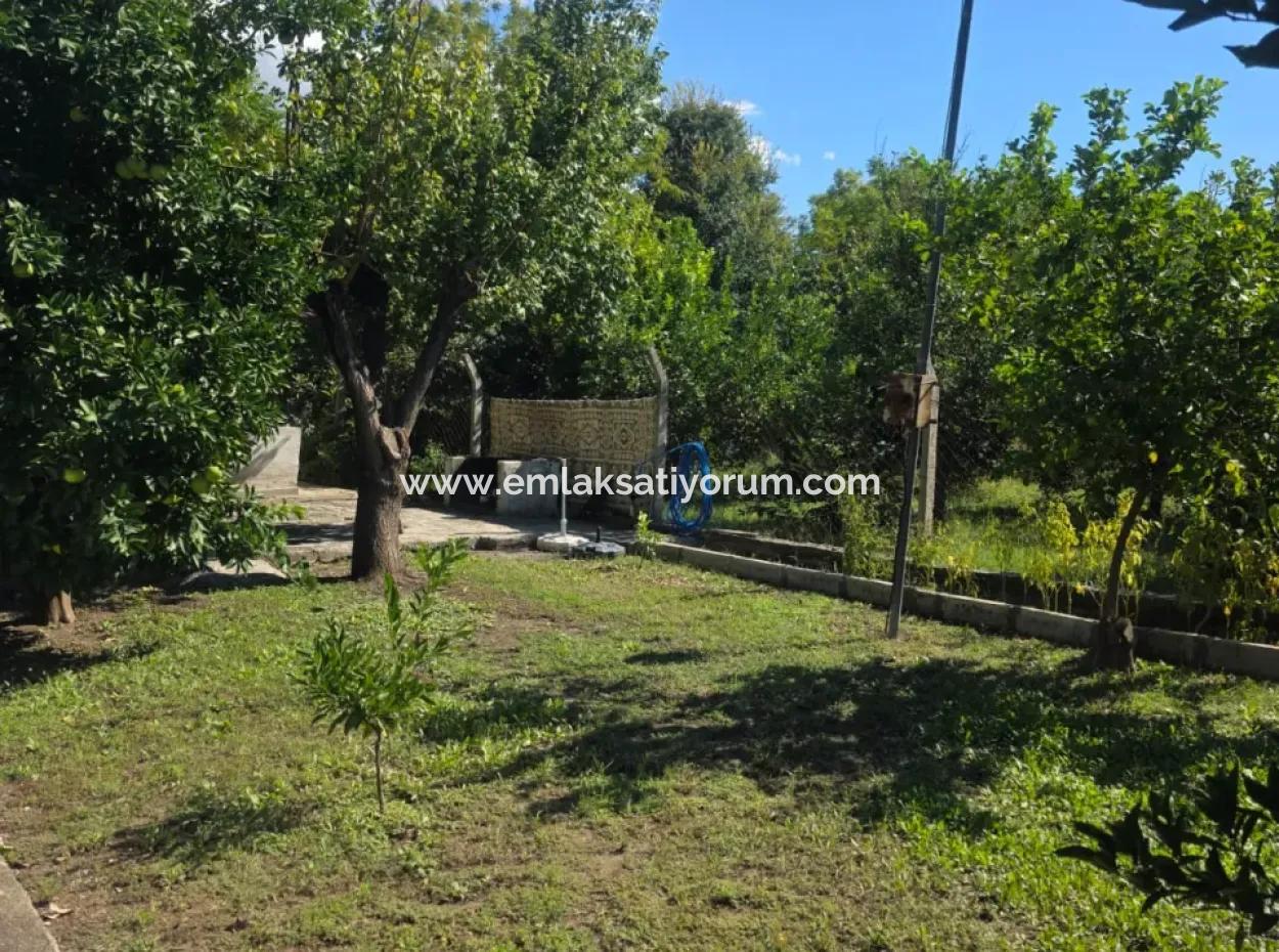 Ortaca Akıncı Sarıgerme Yoluna Sıfır 902 M2 Arsada 2+1, 70 M2 Köy Evi Satılık