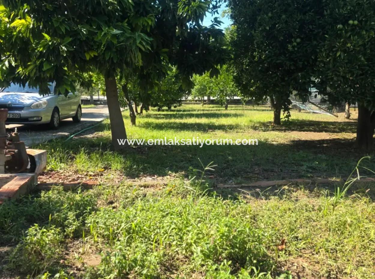 Ortaca Akıncı Sarıgerme Yoluna Sıfır 902 M2 Arsada 2+1, 70 M2 Köy Evi Satılık