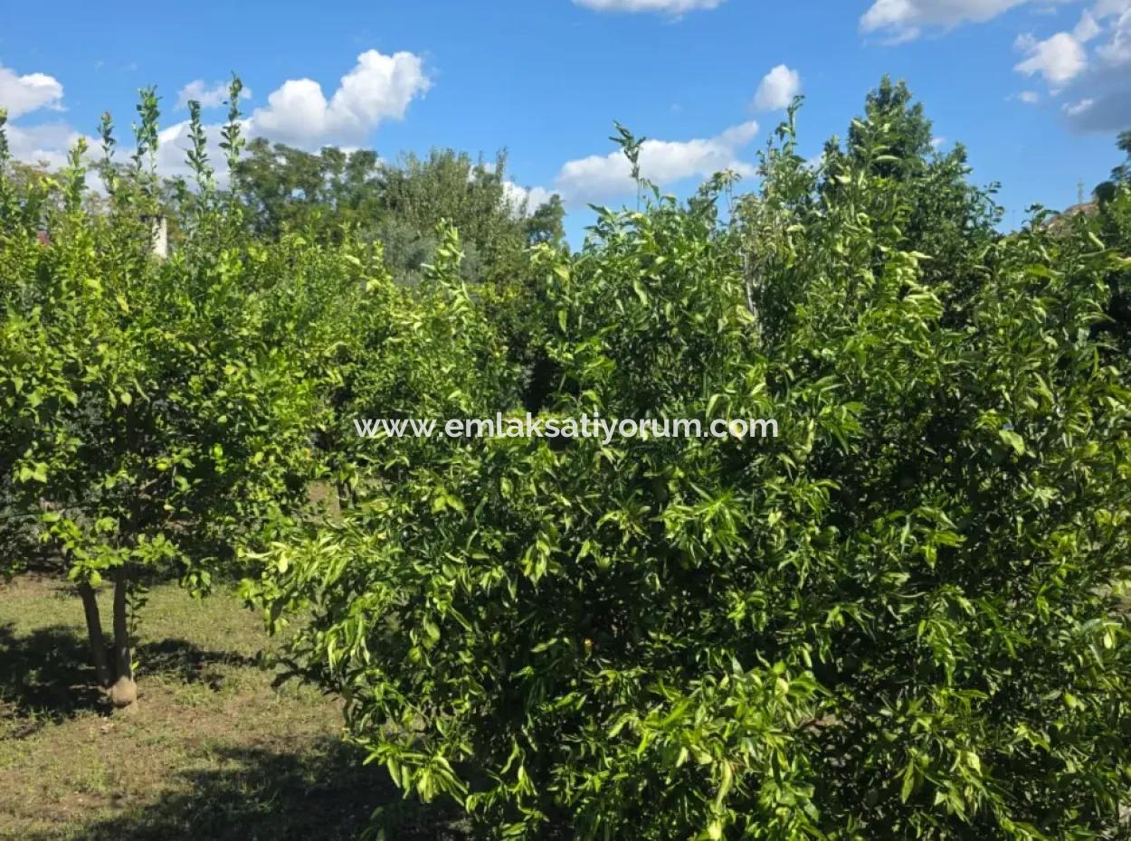 Ortaca Akıncı Sarıgerme Yoluna Sıfır 902 M2 Arsada 2+1, 70 M2 Köy Evi Satılık