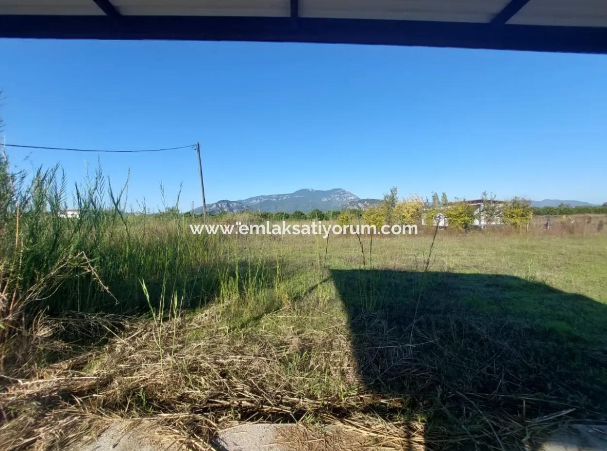 Ortaca Okçular Köşe Parsel  500 M2 Arsa Satılık