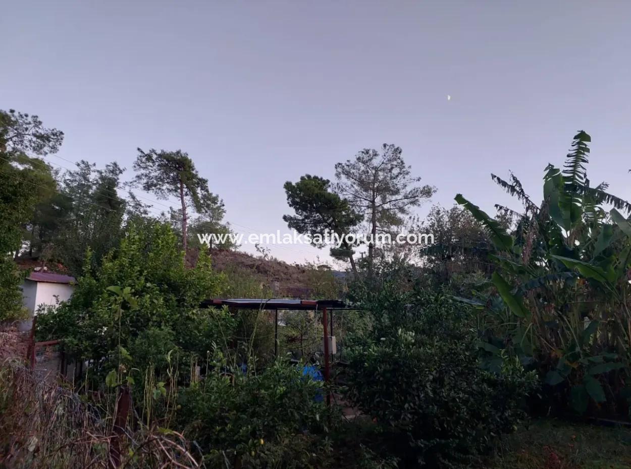 Ortaca Çaylı Da 350 M2 Müstakil Tiny House Uygun Arazi Satılık