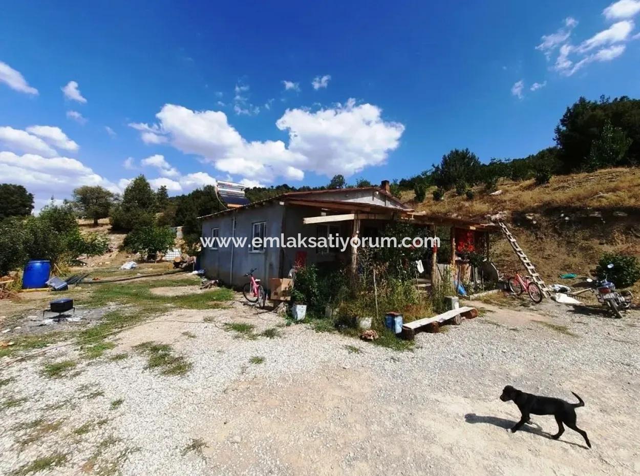 Çameli Kızılyakada 5 000 M2 Müstakil Arazide 2+1  Ev Ve  200 M2  Ahır Satılık