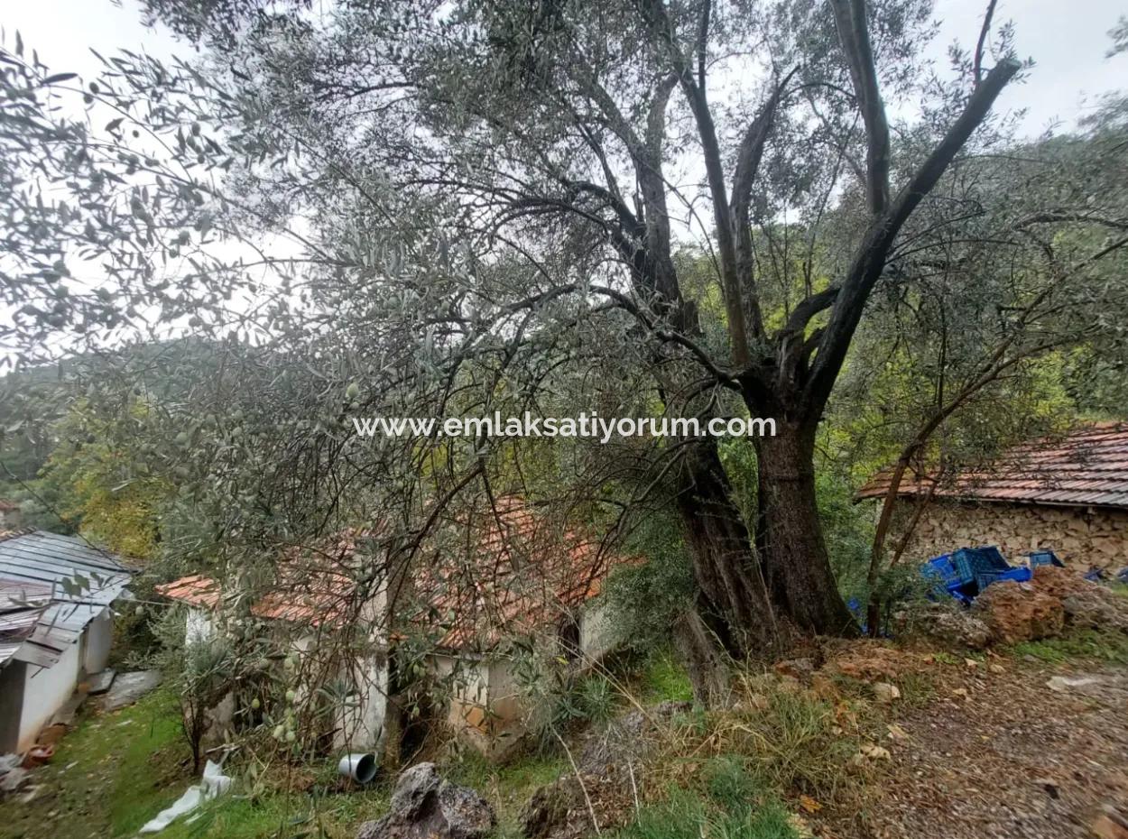 Muğla Fethiye İnlice’de Doğa İçinde Satılık Tapulu Köy Evi