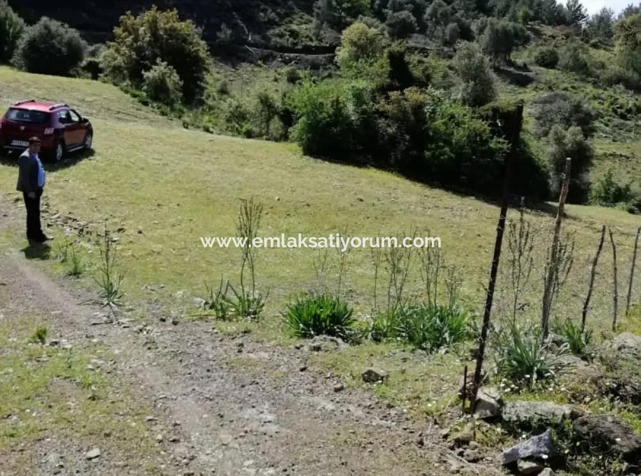 Muğla Ortaca Gökbelde 3200 M2 Hisseli Arazi Satılık