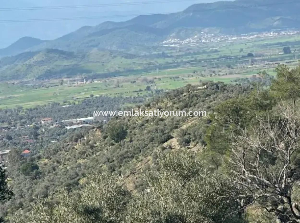 Muğla Milas Da 5 800 M2 Tek Tapu Müstakil Parsel Arazi Satılık