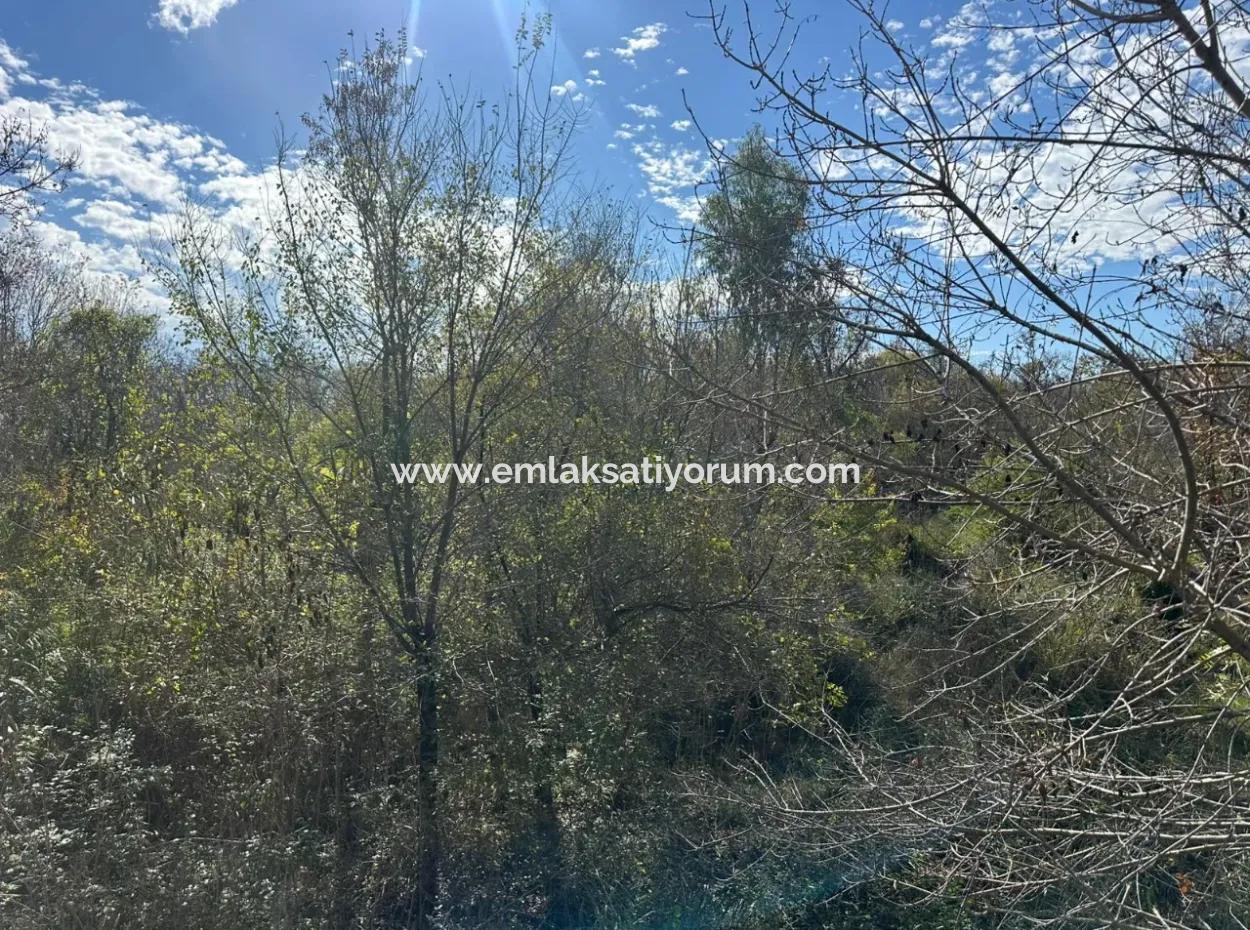 Ortaca Yeşilyurt Da 12 000 M2 Tarla Satılık