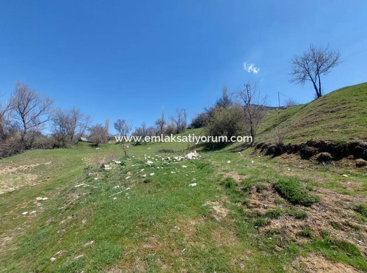 Çameli Cevizli De 750 M2 Mustakil %20/40  İmarlı Arsalar Satılık