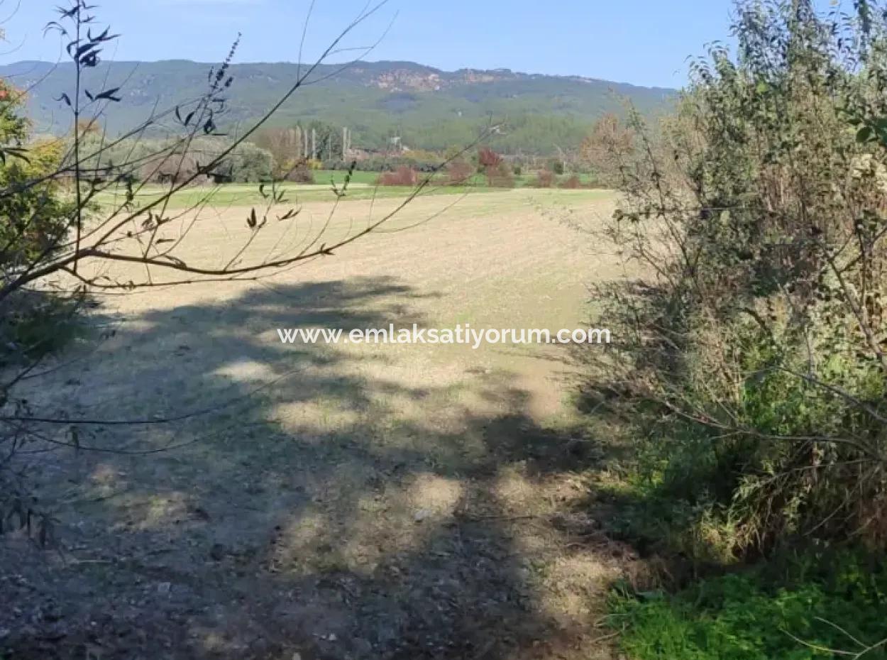 Muğla Ula Karabörtlende Kelepir 6 000 M2 Arazi Satılık