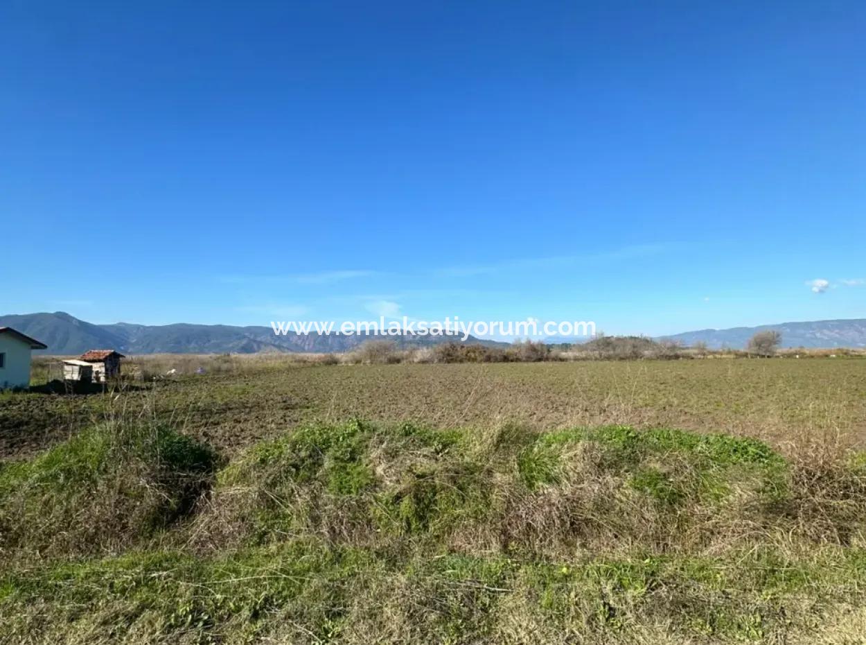 Dalyana Yakın Konumda, Köyceğiz Gölüne Yakın Satılık Tarla