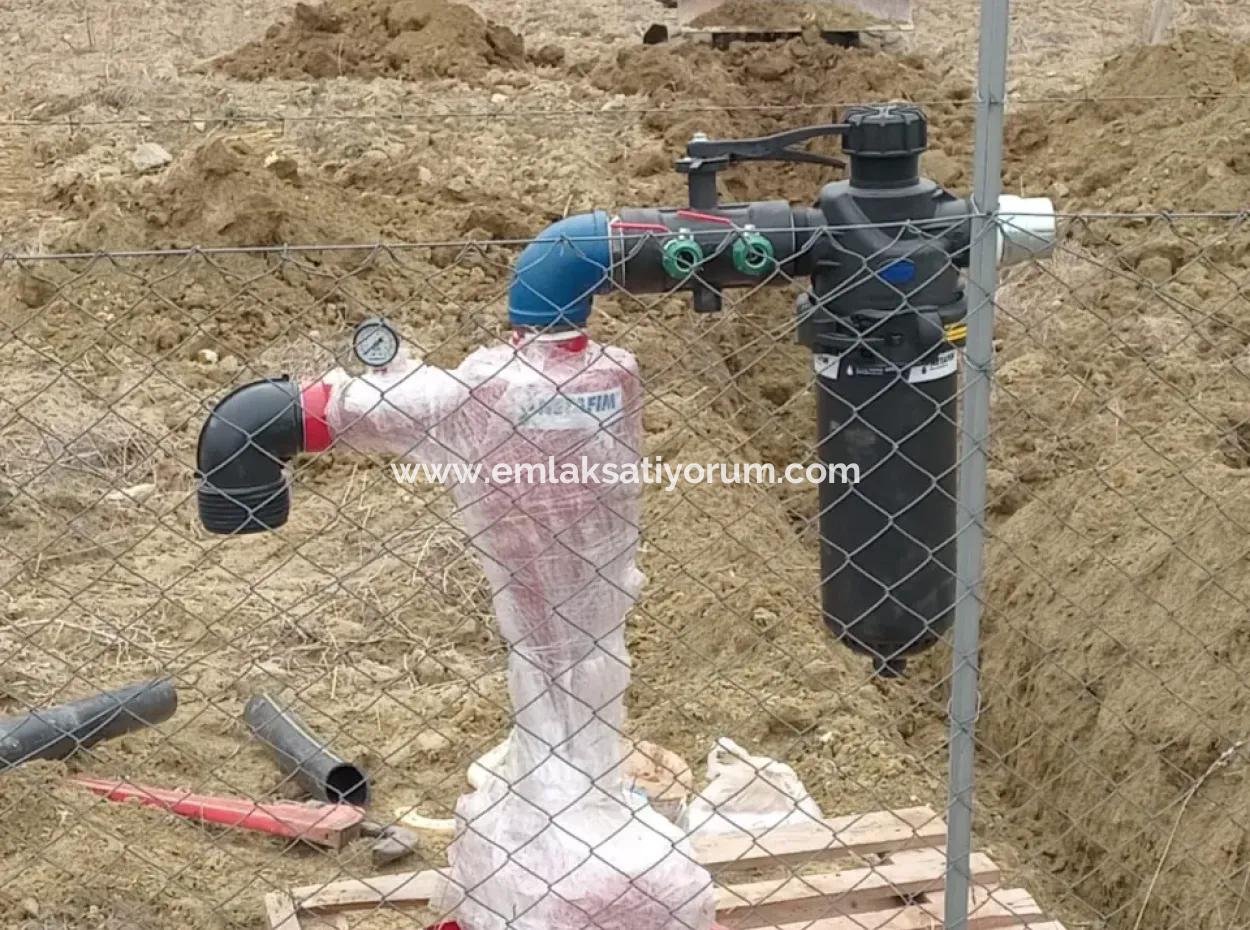 Denizli Tavas Ulukentte 37.000 M2 Ceviz Bahçesi Satılık