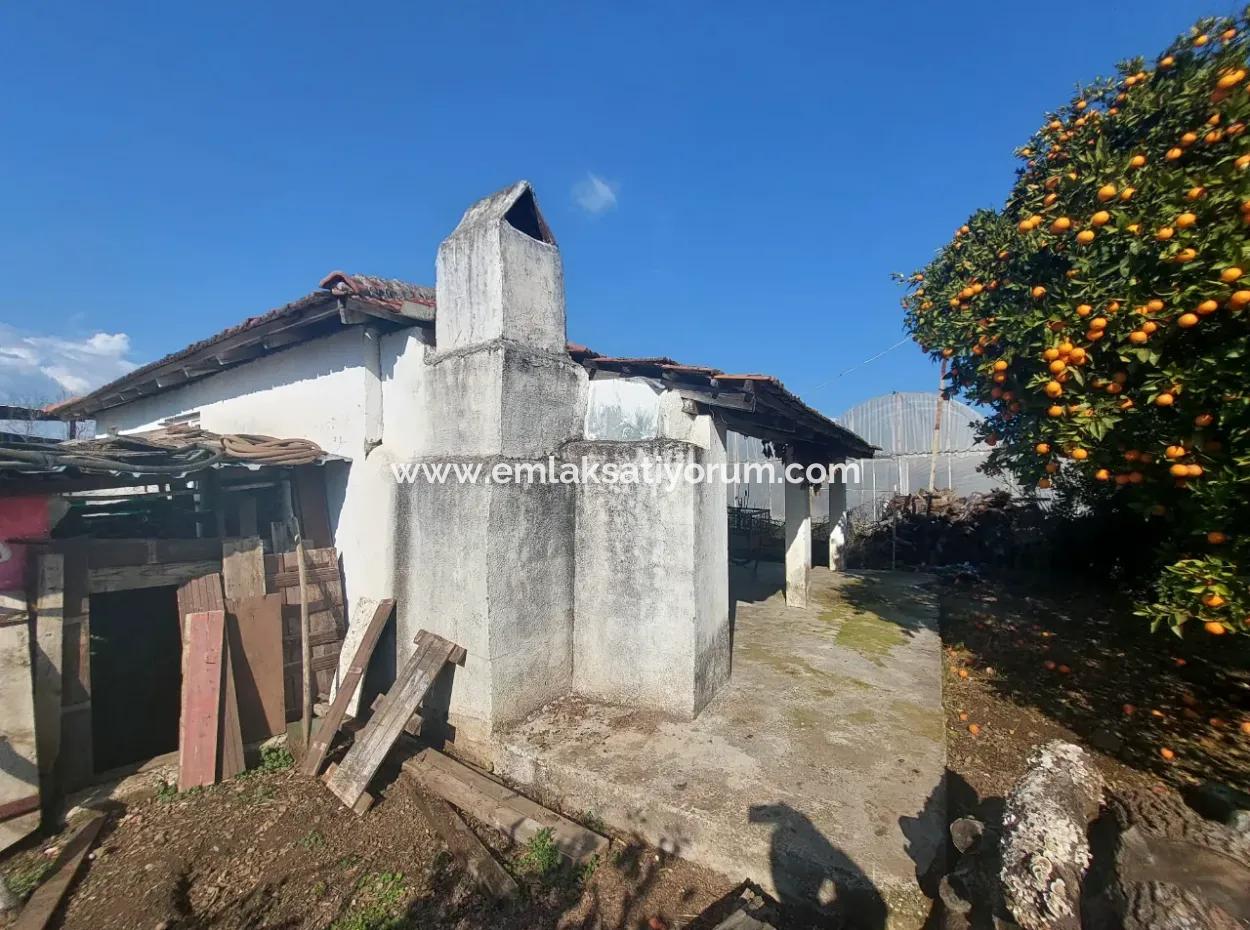 Muğla, Köyceğiz, Kavakarası 1500 M2 Arazide 2+1, 3 Adet Bagımsız Kelepir Köy Evi Satılık