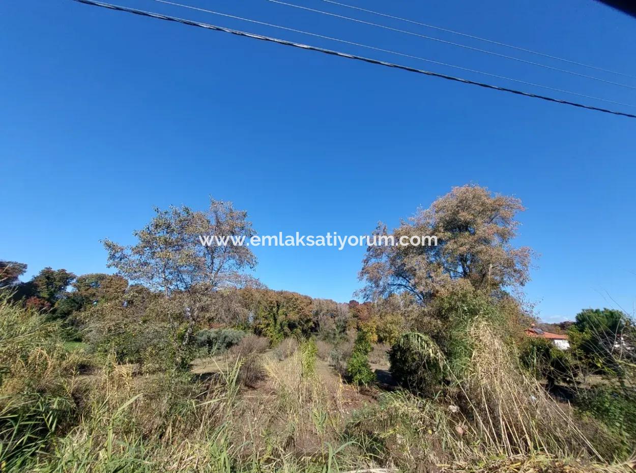 Muğla Dalyan Da Yatırıma Uygun Kelepir  Orman A Sıfır 4 000 M2 Arazi Satılık