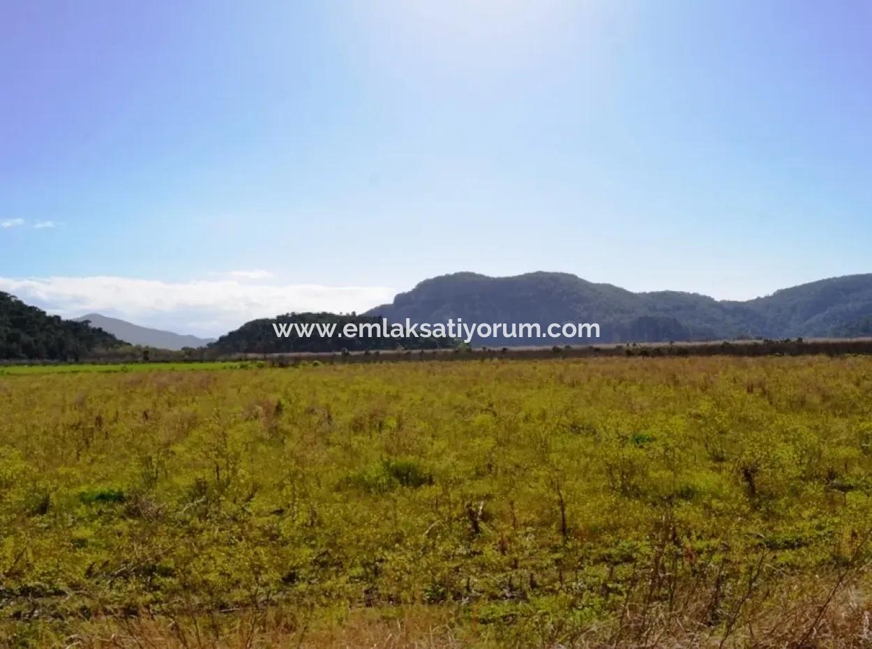 Dalyanda Satılık Müstakil Kelepir Tarla