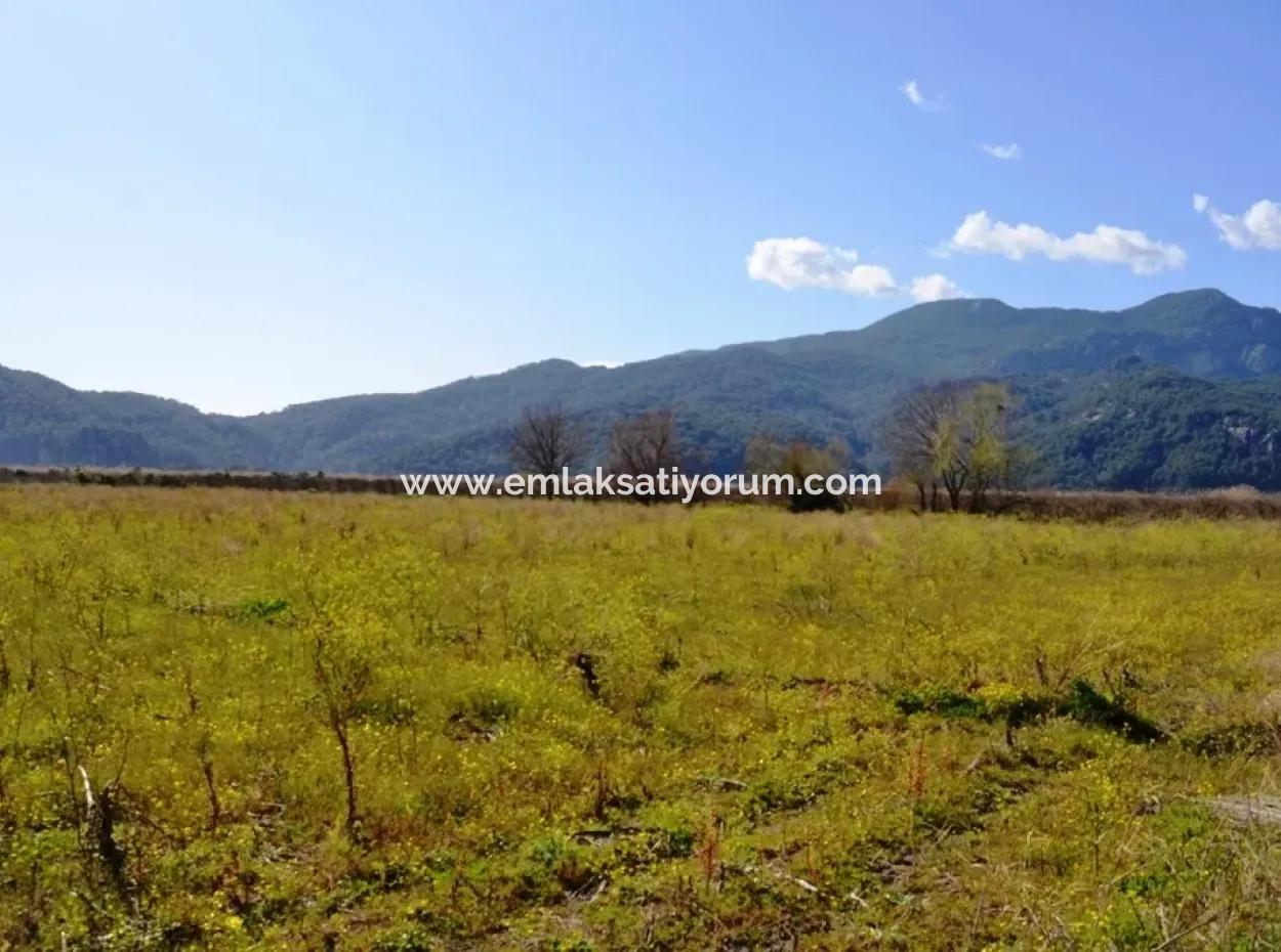 Dalyanda Satılık Müstakil Kelepir Tarla