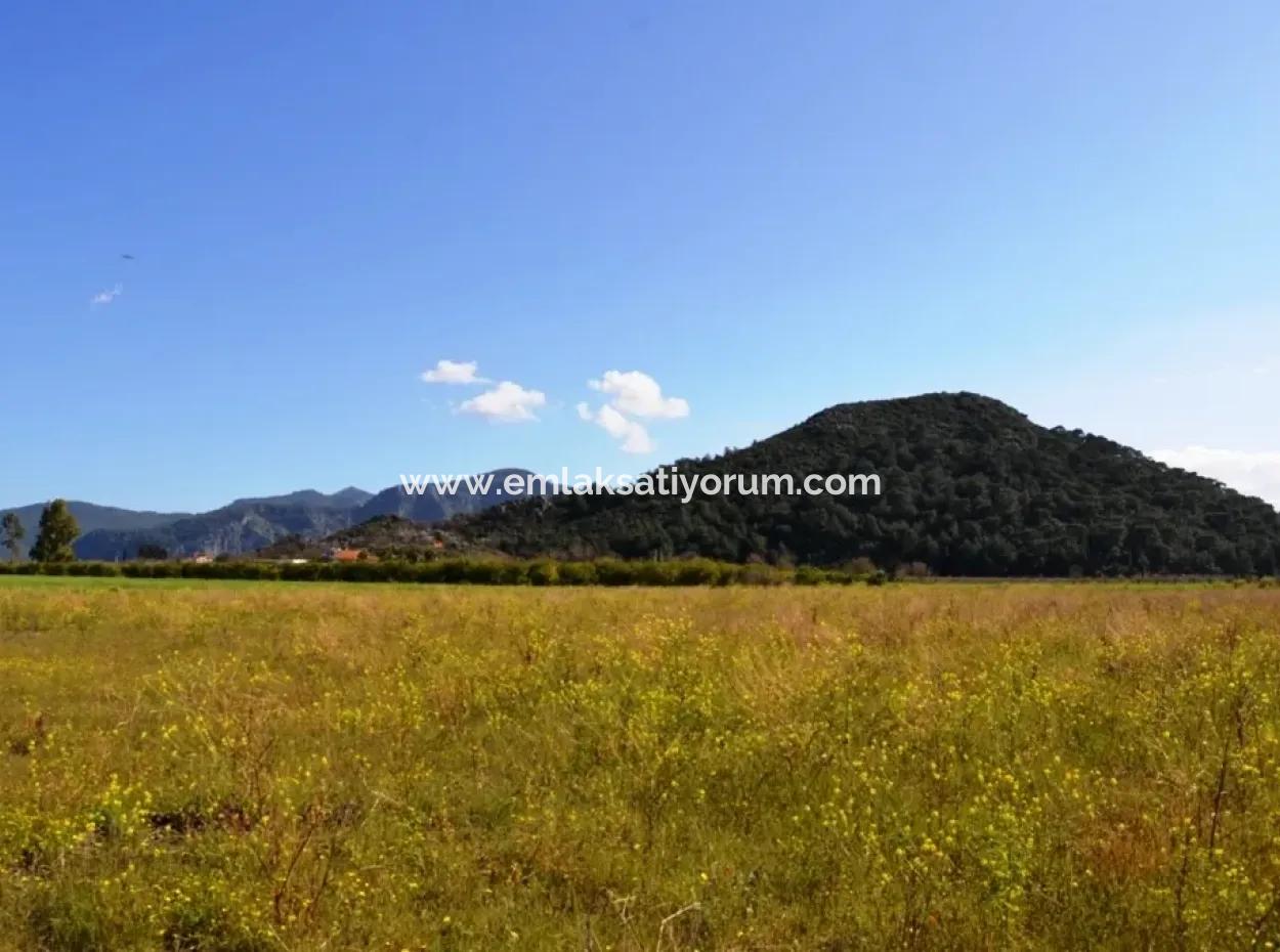 Dalyanda Satılık Müstakil Kelepir Tarla