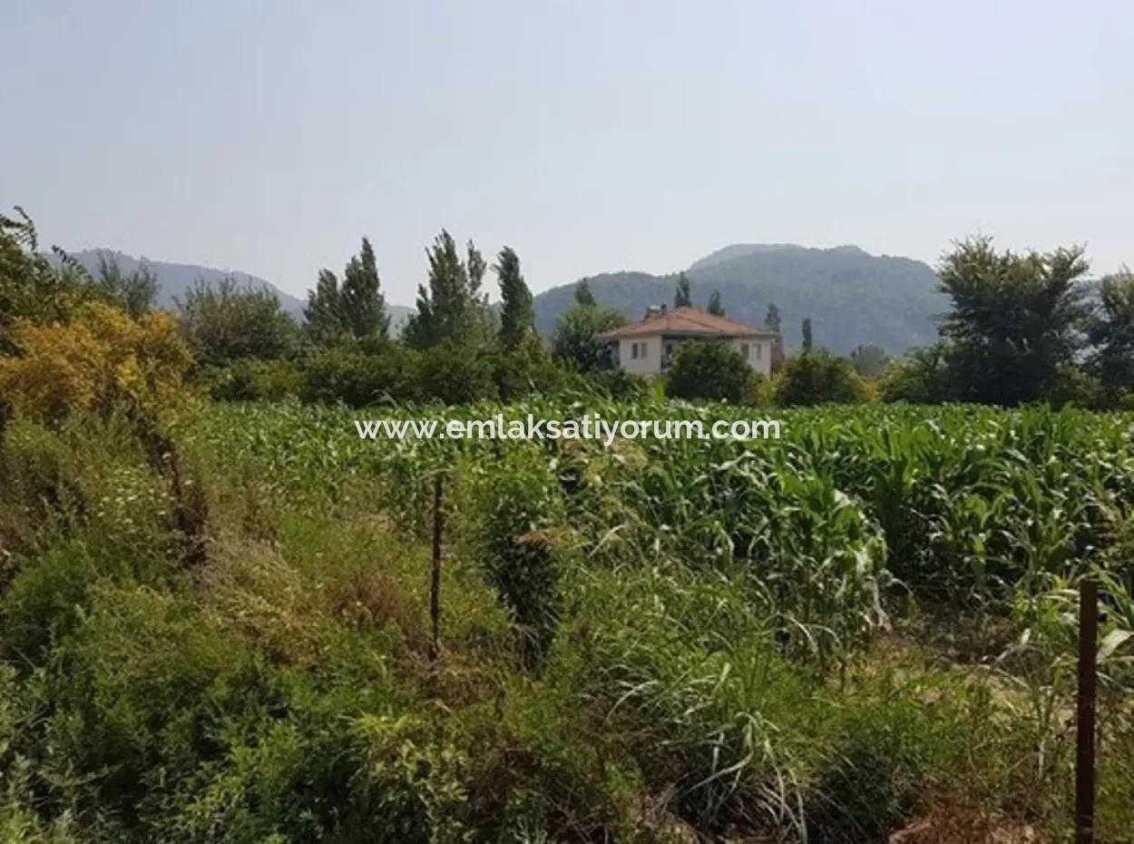 Muğla Ortaca Okçularda Satılık Yatırıma Uygun 3000 M2 Arsa