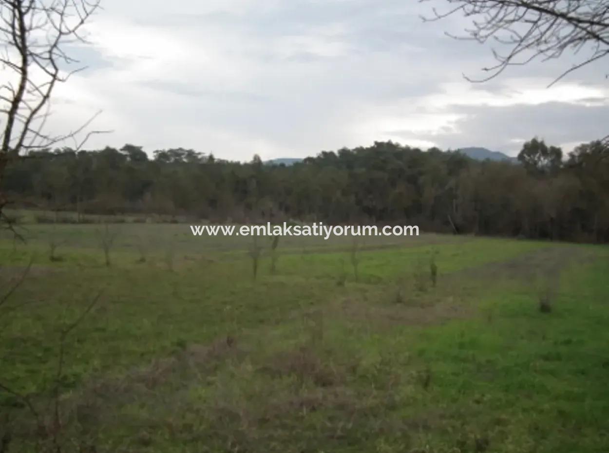 Ula Karaböğürtlende Satılık Ana Yola Sıfır Arazi
