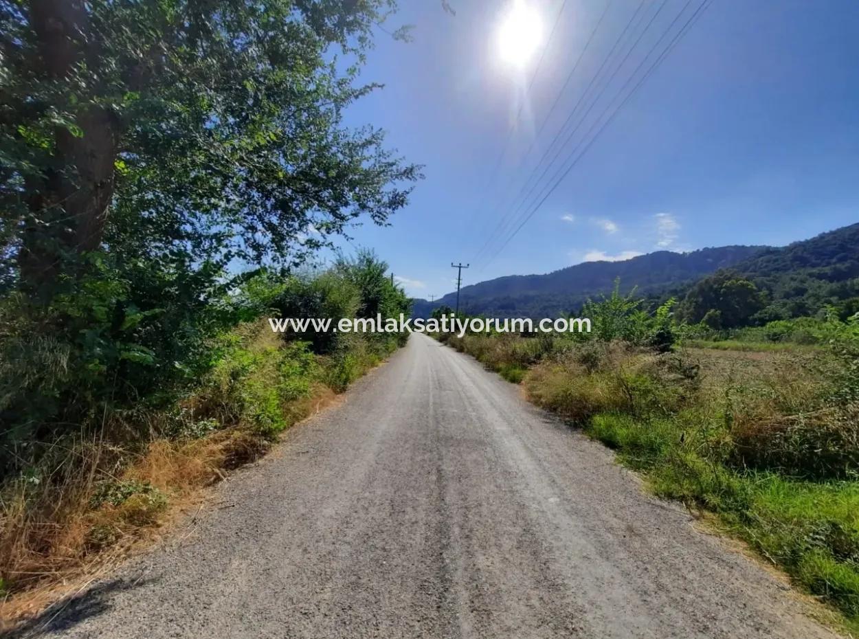 Ortaca Fevziye De Satılık Yola Sıfır Arazi