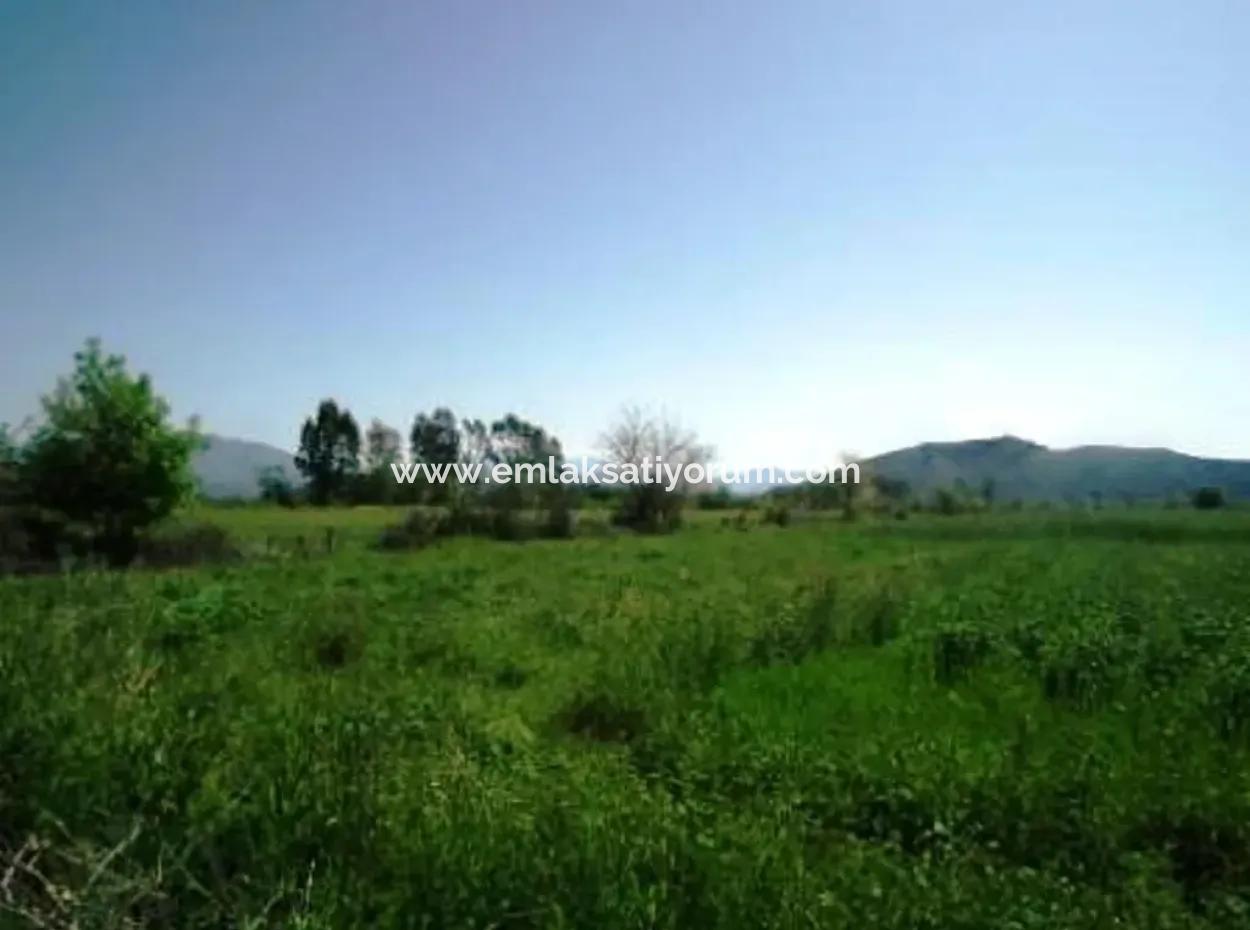 Ortaca Akıncıda 30 000 M2 Verimli Arazi Satılık