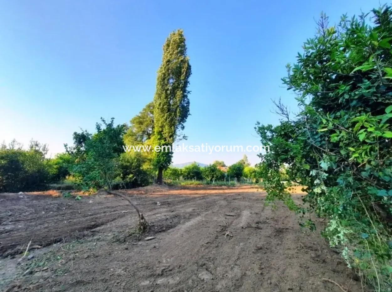 Okçular Da Satılık Müstakil Tapulu Arsalar 