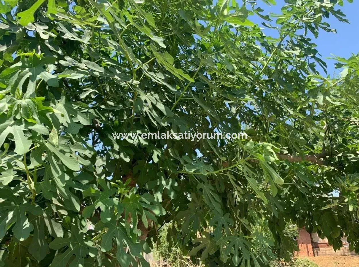 Okçularda 450 M2 Kelepir Arsa Satılık