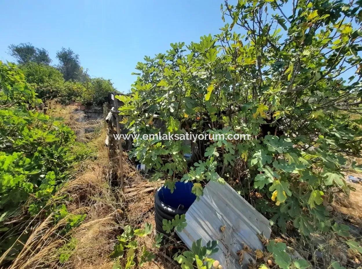 Köyceğiz Toparlarda Satılık İmarlı Arsa