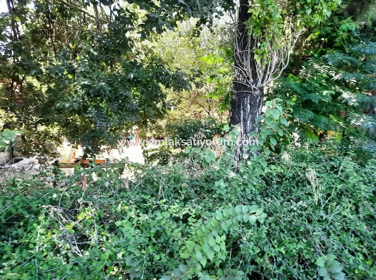 Ortaca Dalaklıda Ana Yola Sıfır Arsa Satılık